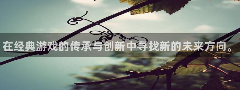 天美娱乐登录网址：在经典游戏的传承与创新中寻找新的未来方向。