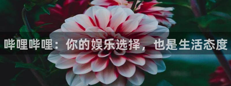 天美娱乐登陆地址：哔哩哔哩：你的娱乐选择，也是生活态度