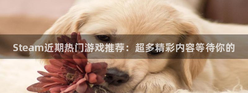 天美娱乐怎么注册：Steam近期热门游戏推荐：超多精彩内容等