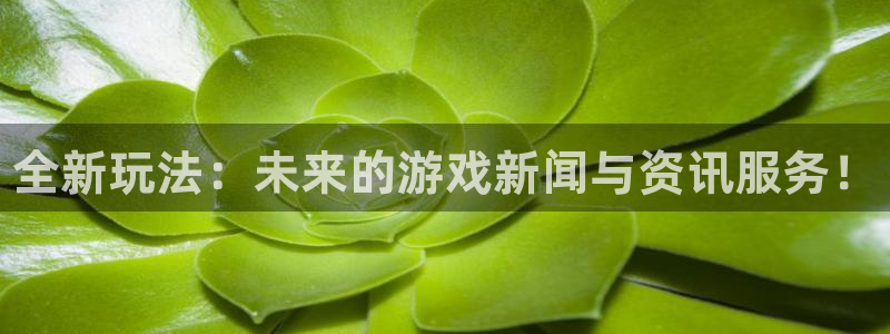 天美娱乐注册测速：全新玩法：未来的游戏新闻与资讯服务！