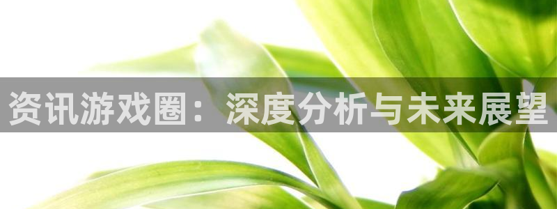 天美娱乐测速：资讯游戏圈：深度分析与未来展望