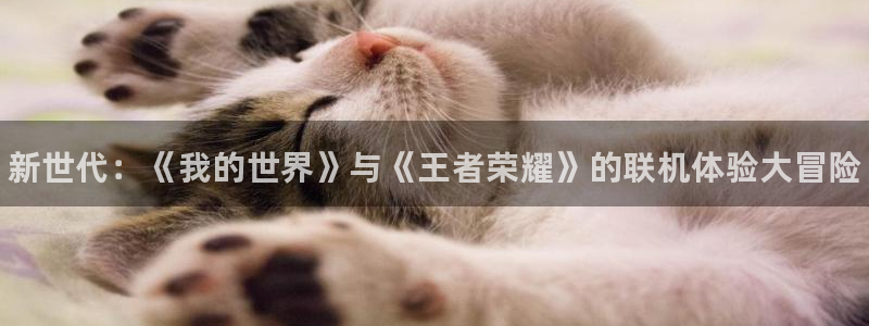 天美娱乐科技：新世代：《我的世界》与《王者荣耀》的联机体验大