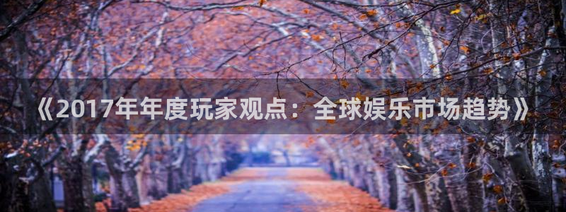 天美娱乐官方注册登录：《2017年年度玩家观点：全球娱乐市场