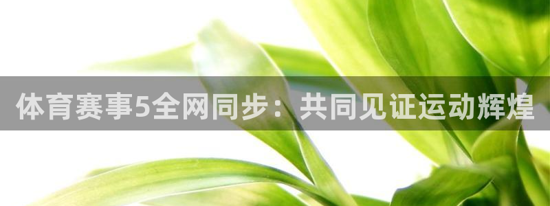 nba直播免费观看雨燕