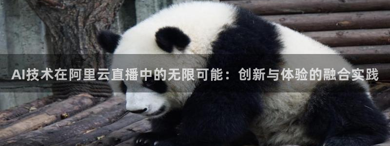 雨燕高清体育直播nba：AI技术在阿里云直播中的无限可能：创新与体验的融合实践