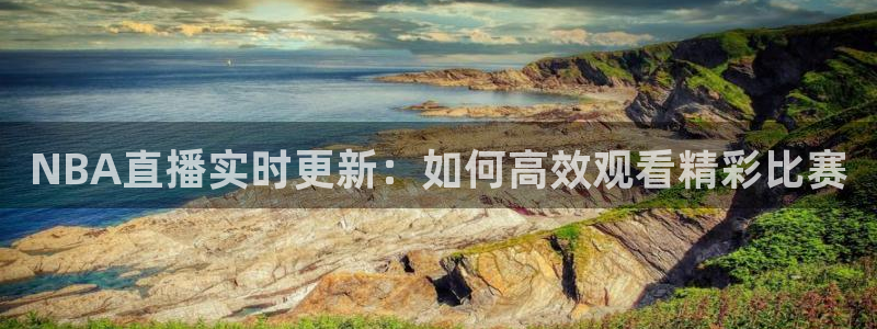 雨燕360体育免费直播足球：NBA直播实时更新：如何高效观看精彩比赛