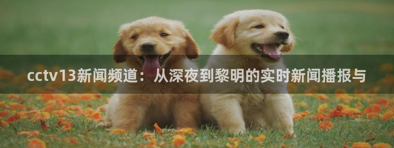 雨燕体育直播在线直播观看：cctv13新闻频道：从深夜到黎明的实时新闻播报与