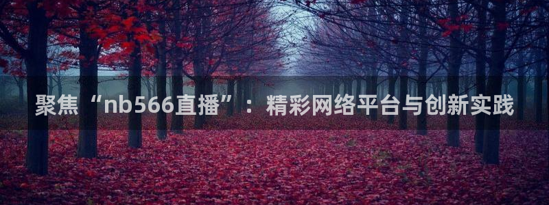 免费足球直播雨燕：聚焦“nb566直播”：精彩网络平台与创新实践