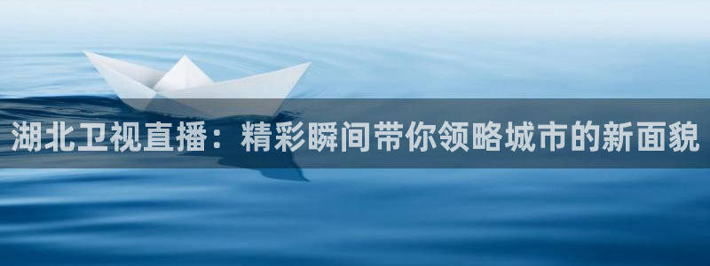 雨燕360体育赛事直播：湖北卫视直播：精彩瞬间带你领略城市的新面貌