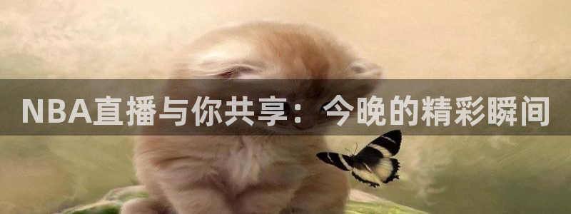 雨燕360体育直播足球罗甲：NBA直播与你共享：今晚的精彩瞬间
