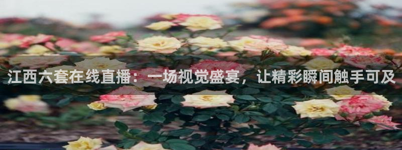 360直播雨燕直播：江西六套在线直播：一场视觉盛宴，让精彩瞬间触手可及
